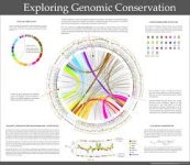 genomics.jpeg