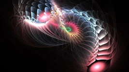 fractal-969517_960_720.webp