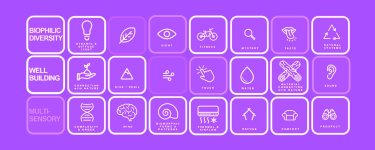 Why-Multisensory-Designs-Create-Memorable-Experiences-for-Users.jpg