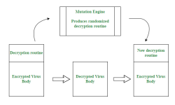 polymorphic.png