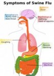 180px-PD_Diagram_of_swine_flu_symptoms_EN.svg.jpg