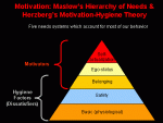 motivation_maslow.gif