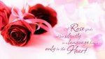 Happy Rose Day 2015 Images  (25).jpg