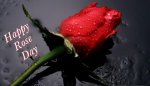 Happy Rose Day 2015 Images  (26).jpg