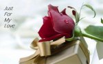 Happy Rose Day 2015 Images  (27).jpg