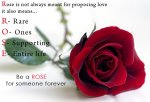Happy Rose Day 2015 Images  (28).jpg