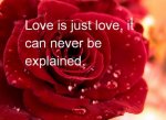 Happy Rose Day 2015 Images  (29).jpg