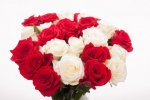 Happy Rose Day 2015 Images  (1).jpg