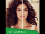 Fight Frizz.jpg