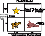 picture_bcg_matrix.gif