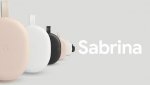 google_android_tv_sabrina_dongle_1598945136277.jpg