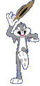 Dancing Cat.gif