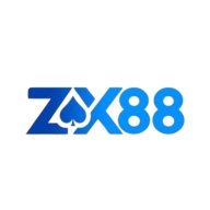 zx88vnnet2