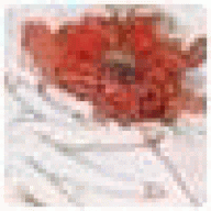 poobedearopay