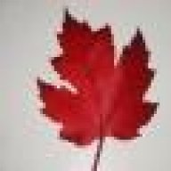 mapleleaf