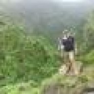 bipin3694