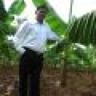 dhanajir