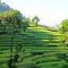 hemant_bms