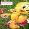 tweetygal