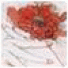 poobedearopay