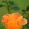 dhiren786