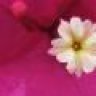 jgd.abhishek