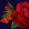 hepal