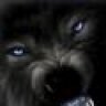 leodon1@gmail.com