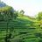 hemant_bms
