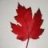 mapleleaf