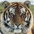 inder_chan