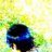ANKUR_IBSA