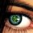 Dhalia