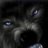 leodon1@gmail.com